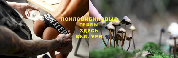 jwh Богородск