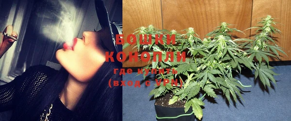 мяу мяу кристалл Богданович