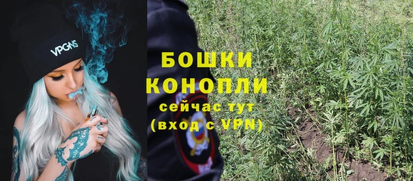 мяу мяу кристалл Богданович